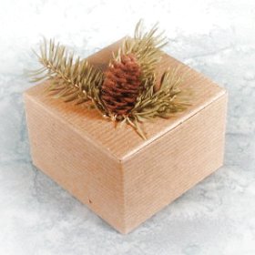 pine_cone