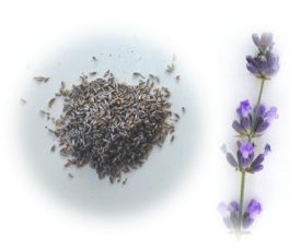 lavender potpourri 1