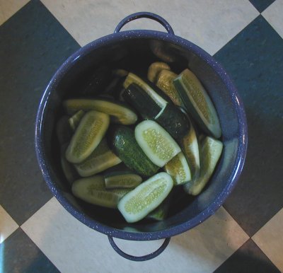 pot-of-pickles
